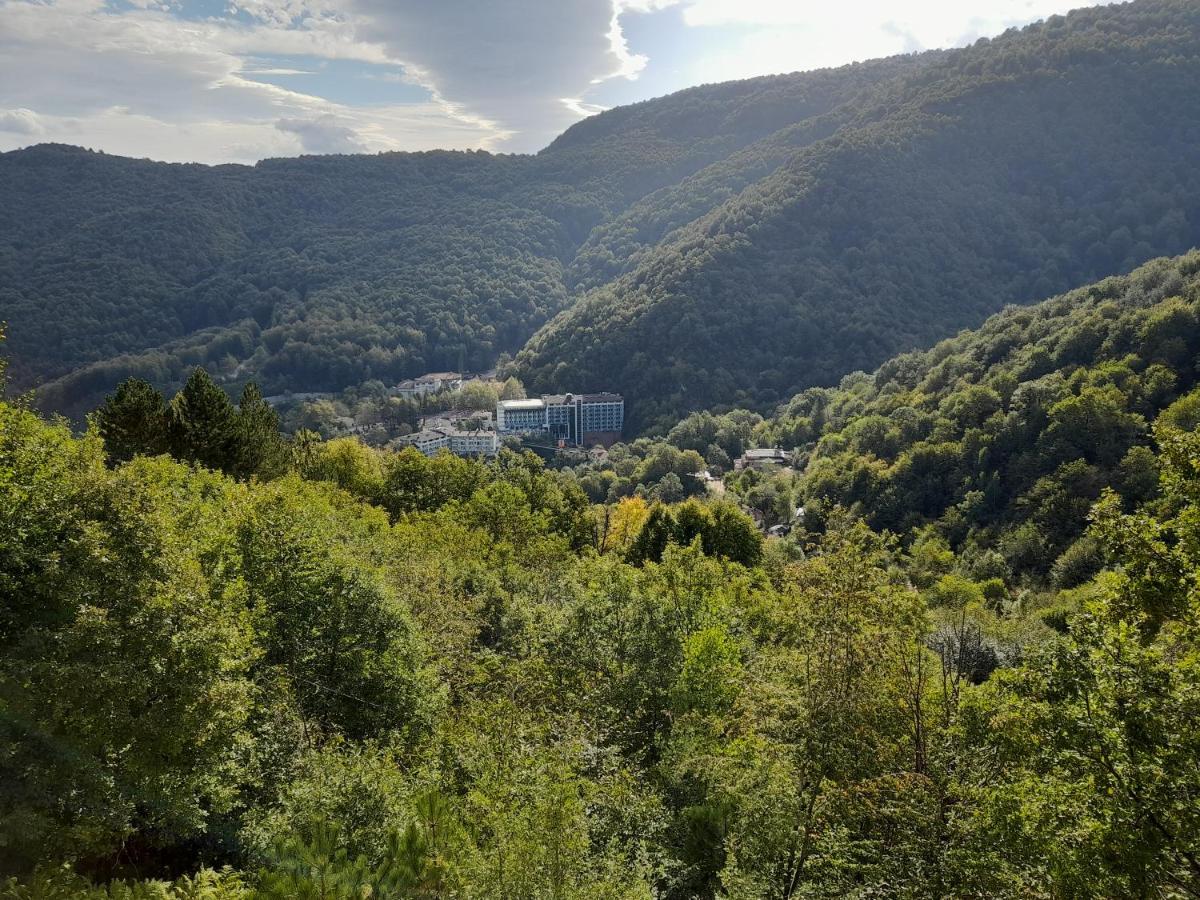 Turkish Retreat Bed & Breakfast Saadet Luaran gambar